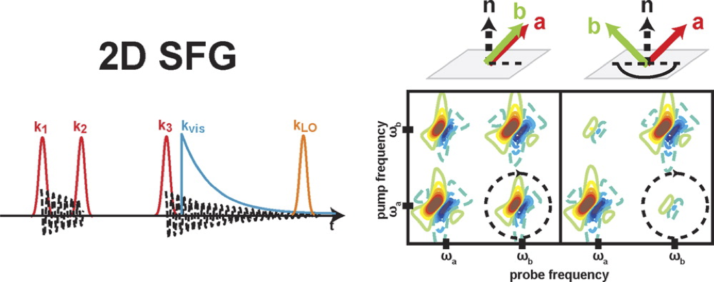 2D SFG Spectroscopy – Zanni Group – UW–Madison